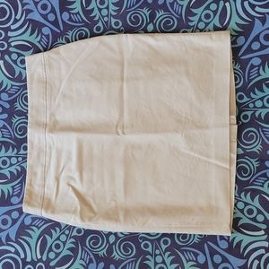 Sleek Fitted Banana Republic Skirt